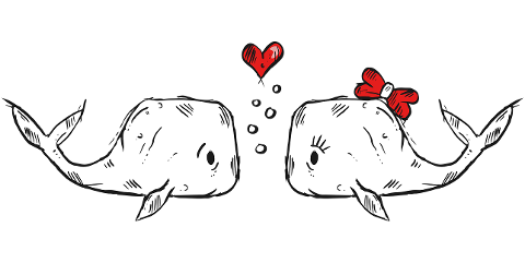 whales-in-love-love-whales-fish-6746248