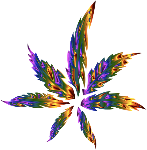 marijuana-leaf-drugs-leaves-6184677