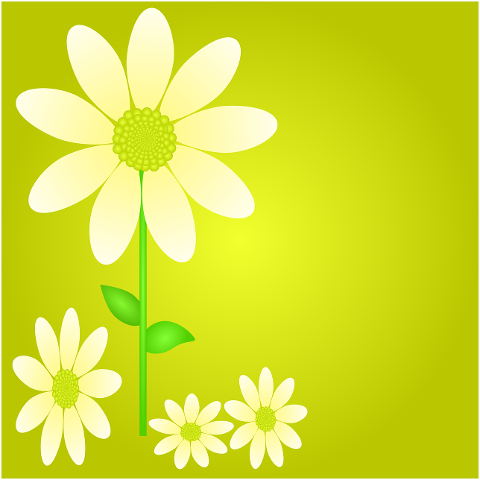 flowers-margaritas-spring-art-7206442