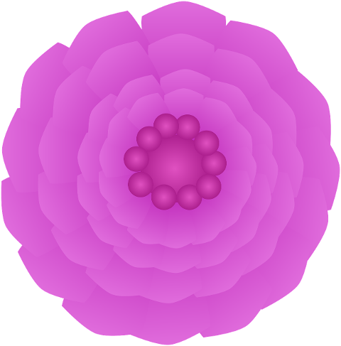 flower-bottomless-floral-9823547