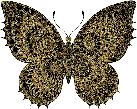butterfly-insect-animal-flourish-9588144