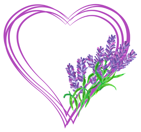 heart-love-lavender-lavender-heart-7679024