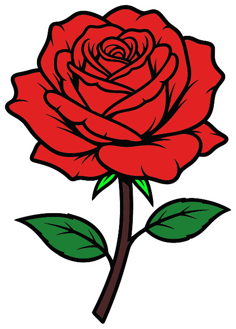 rose-red-flower-stem-leaves-9935010