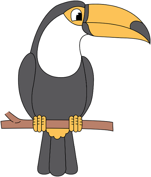 bird-toucan-ornithology-species-6891681