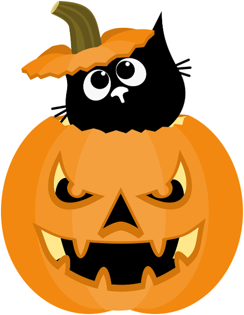 halloween-pumpkin-cat-cartoon-10472544