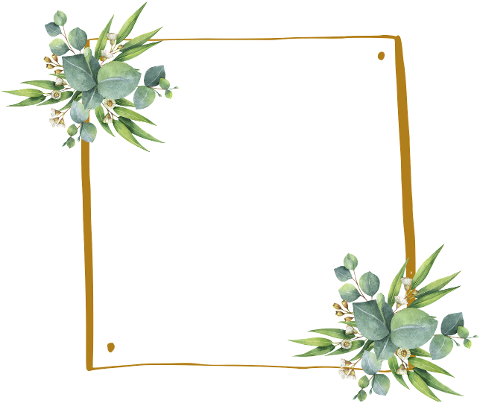 frame-border-design-leaves-flowers-6543193