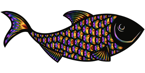 fish-animal-ocean-underwater-5354282