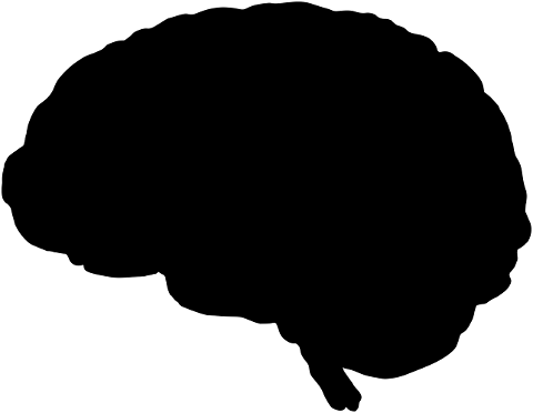 brain-mind-silhouette-organ-8540981