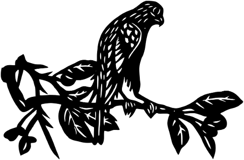 bird-hawk-branch-eagle-falcon-5482959