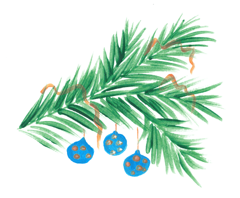 ornament-christmas-twig-decorations-6803315