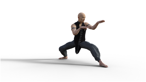 kung-fu-martial-arts-pose-fighter-4938608