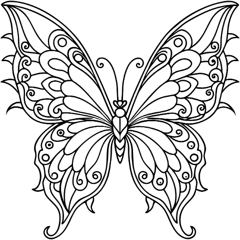 ai-generated-butterfly-insect-9069840