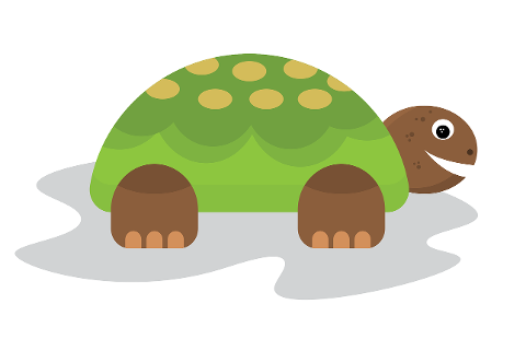 turtle-tortoise-reptile-zoology-7302244