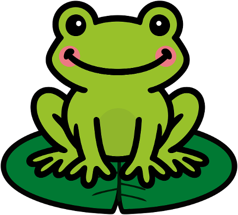 frog-nature-all-animal-green-9593018