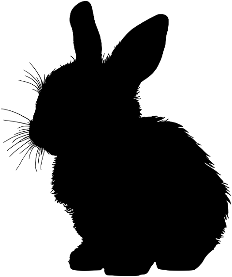 bunny-rabbit-animal-silhouette-8599105