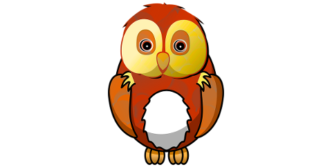 owl-animal-bird-nature-feather-4944420