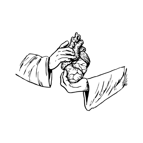 heart-lungs-hand-sketch-draw-7813331