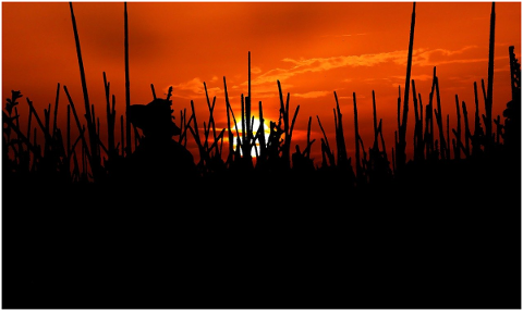 sunset-asia-burma-peasant-reeds-4956014