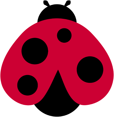 ladybug-insect-bug-entomology-9767046