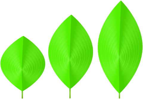 sheets-green-foliage-cut-off-herb-7266843