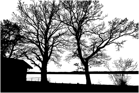 trees-lake-silhouette-branches-4761032