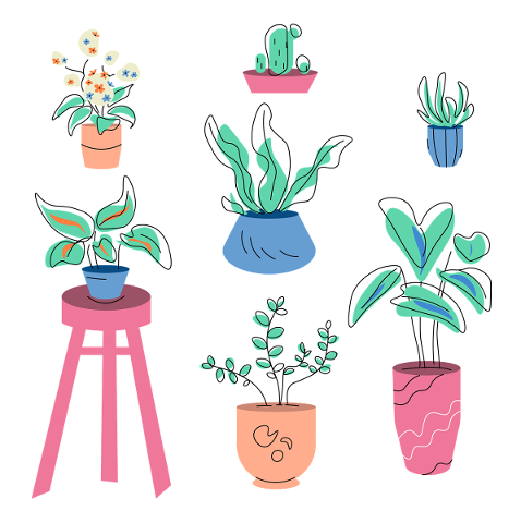 plants-house-green-cactus-flower-4968097