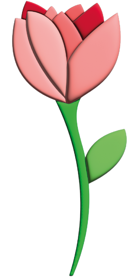 flower-tulip-spring-valentine-s-day-7057630