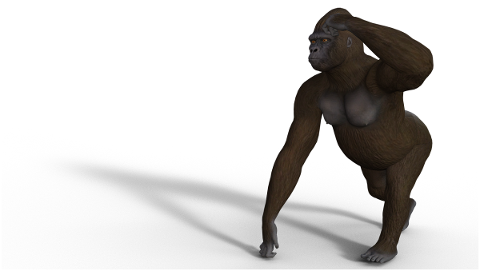 gorilla-monkey-animal-portrait-5056076