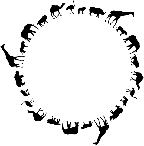 animals-africa-silhouette-frame-5184509