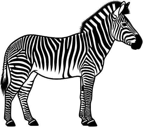 zebra-wild-animal-african-wildlife-9981479