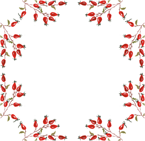 rose-hip-frame-border-art-design-6856719