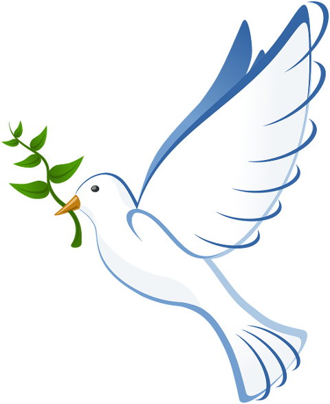 dove-peace-flying-olive-branch-41260