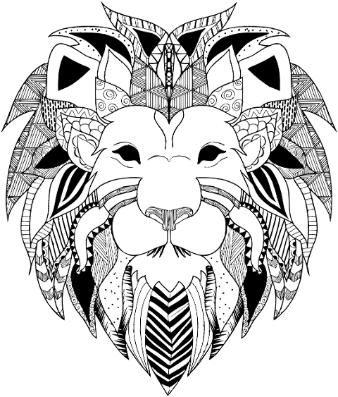 lion-animal-line-art-feline-6319678