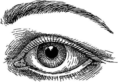 female-eye-vision-optical-see-7517981