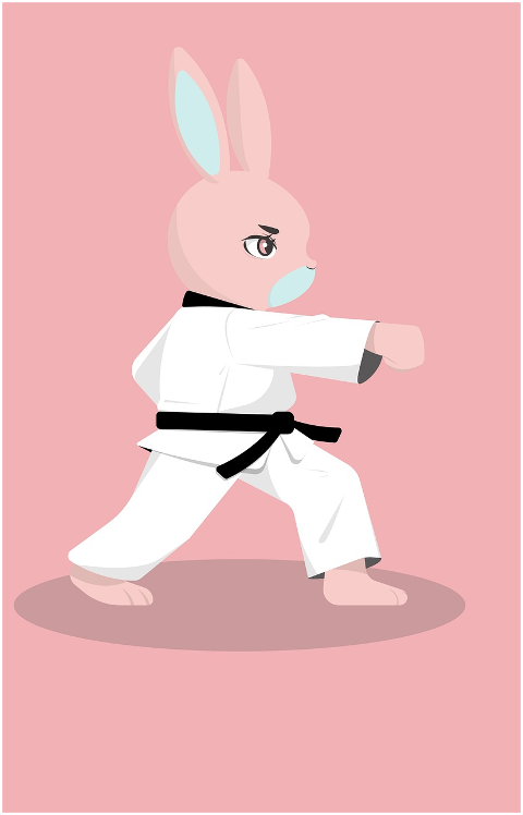 rabbit-taekwondo-animal-cute-8559925