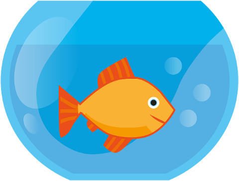 goldfish-water-aquarium-fish-7030519