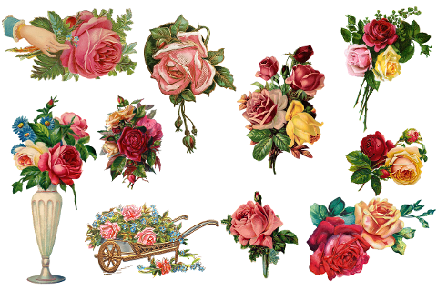 vintage-roses-flowers-collection-6018554