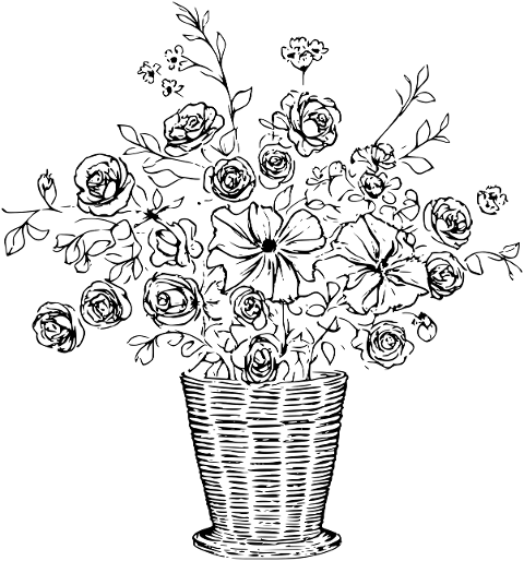 flower-nature-bloom-flora-plant-9414331