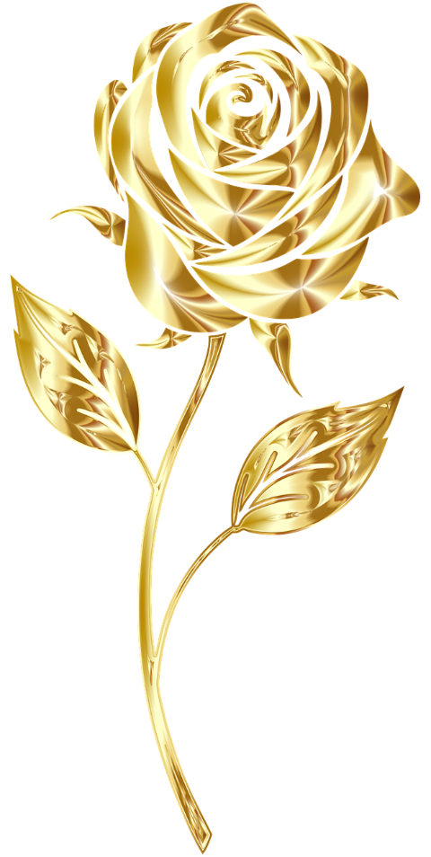 rose-flower-plant-decorative-8815259
