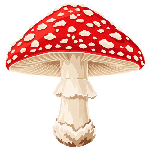 fly-agaric-poisonous-mushroom-10481178
