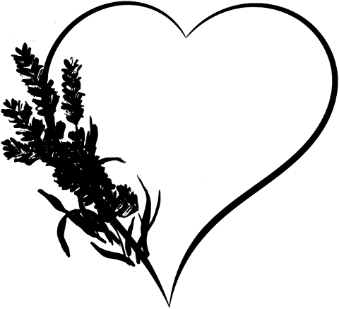 heart-lavender-herbs-love-7679069