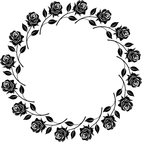 rose-flower-frame-border-plant-8815264