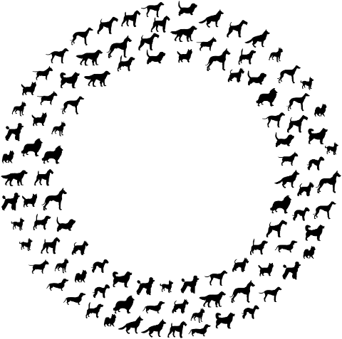 dogs-frame-border-canine-pet-6785139