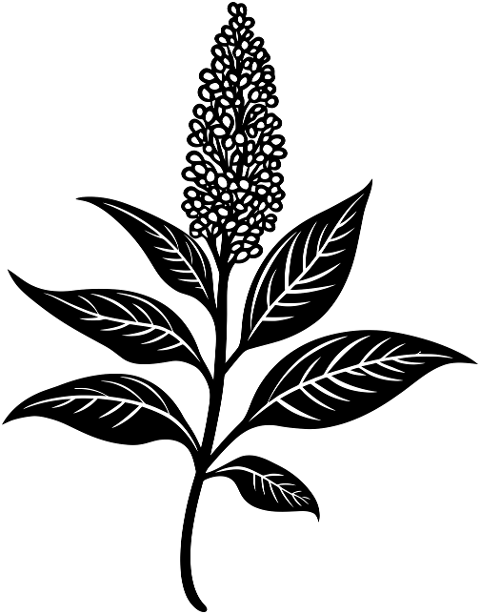 ai-is-generated-silhouette-plant-9039867