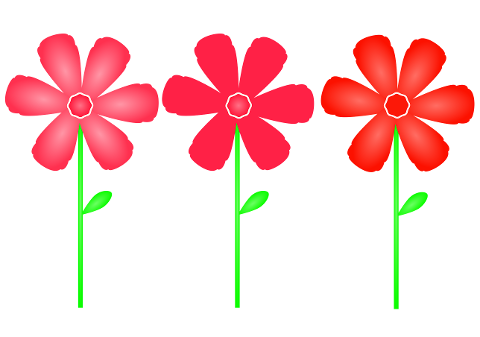 flowers-spring-plant-bloom-flora-6916042