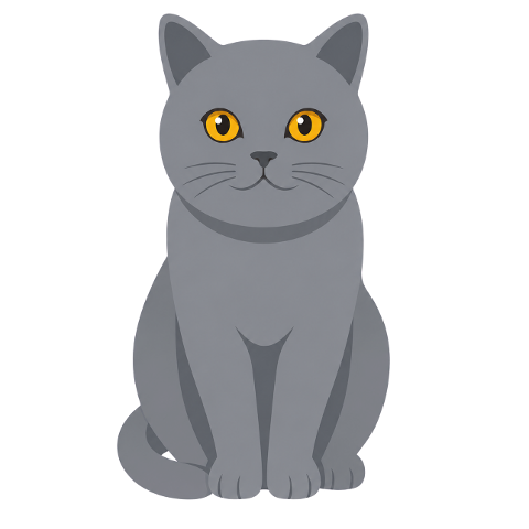 cat-gray-cat-domestic-cat-10370008
