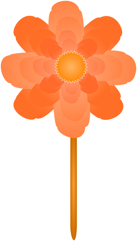 flower-plant-floral-to-flourish-9805132