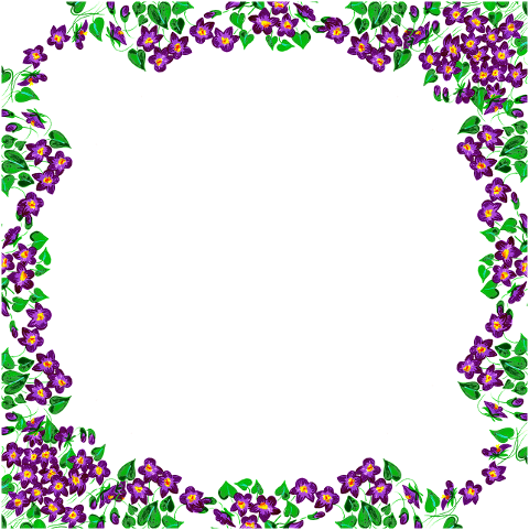violets-flowers-frame-border-pansy-6193410