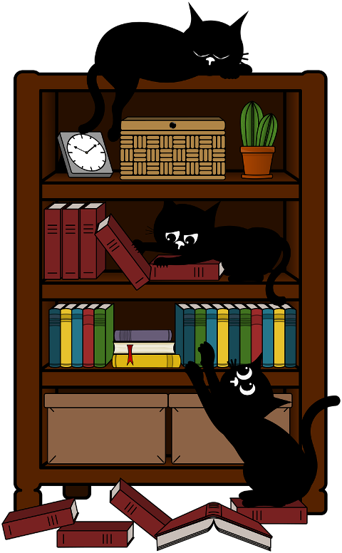 cat-kitten-black-cats-pet-animal-9714892