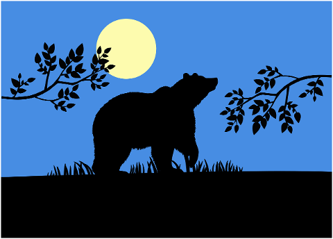 bear-silhouette-moonlight-night-9310226